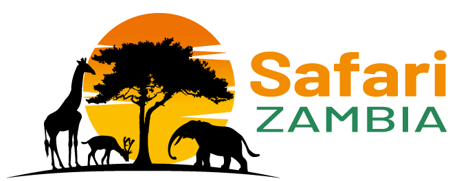 logo_safari_zambia_rechthoek