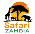 Boek je safari in Zambia